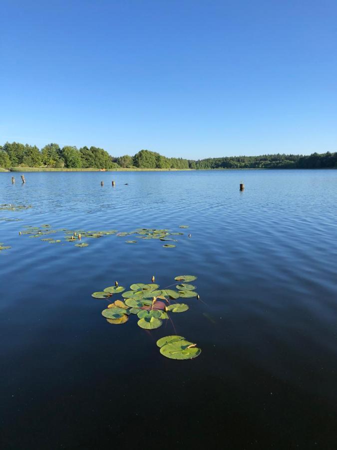 5 Sterne-Ferienhaus Eisvogel Am See Mit Sauna Und Kamin Krakow am See Exterior foto